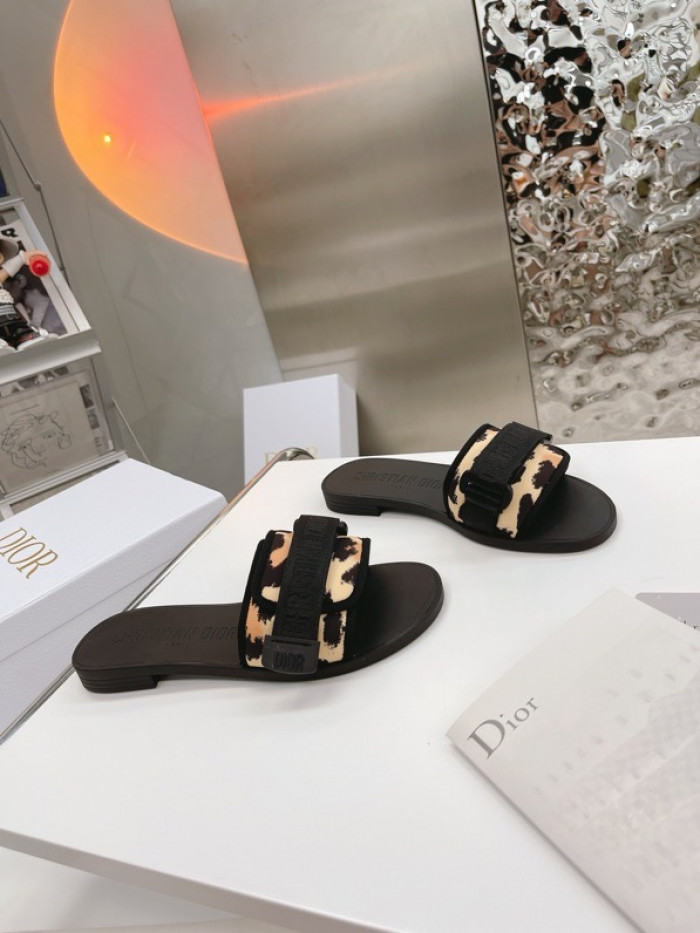 D1OR DIO EVOLUTION SLIDE